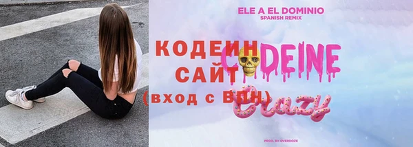 мдпв Ладушкин