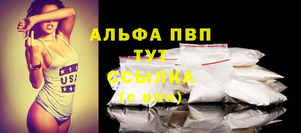 стафф Арсеньев