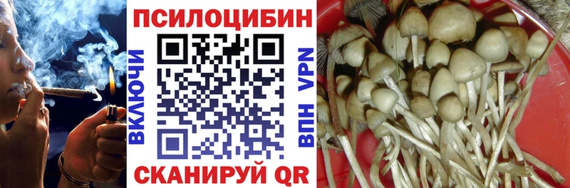 Галлюциногенные грибы мухоморы Пугачёв
